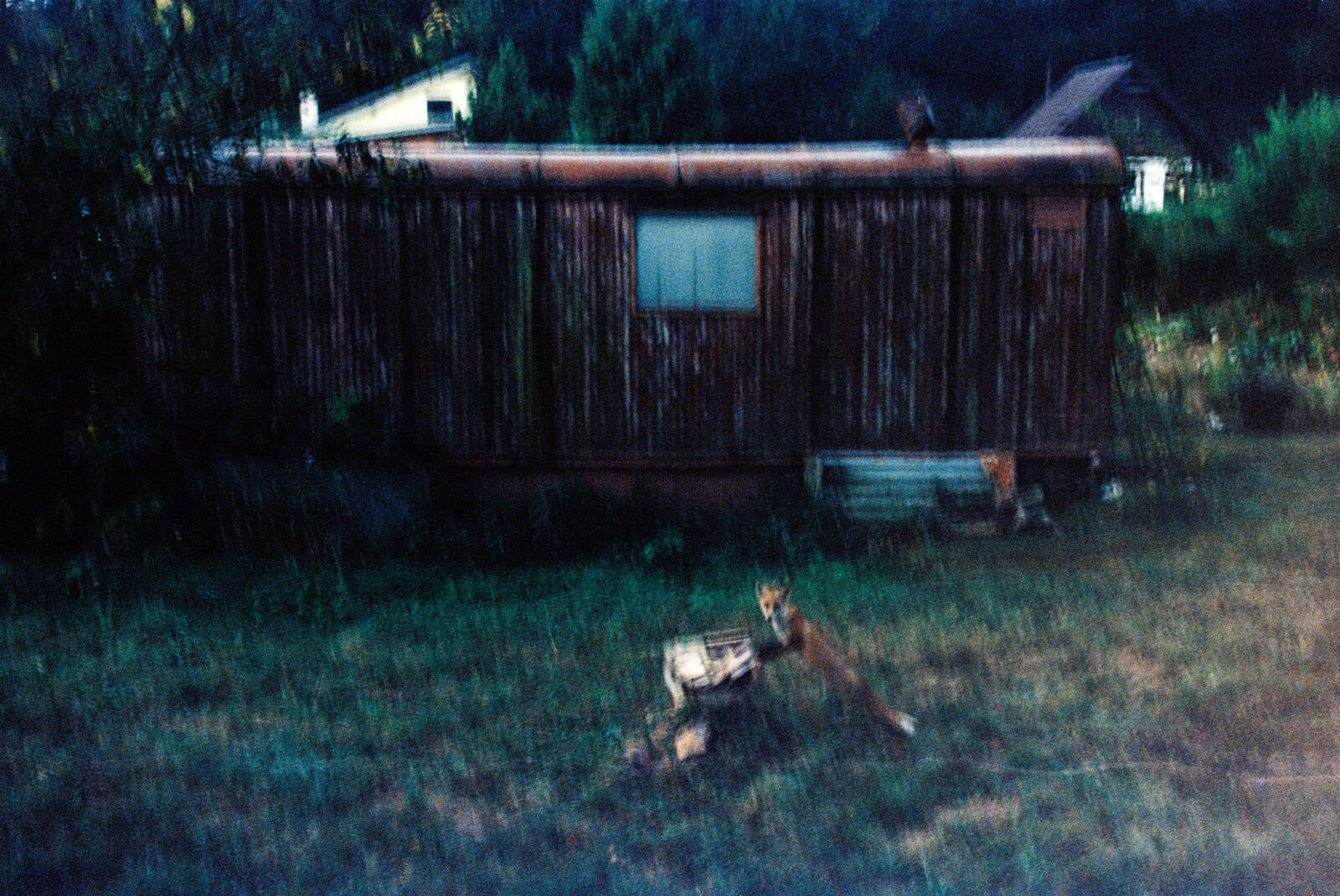 Líščia Maringotka